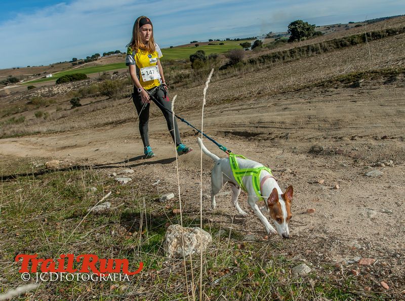 Campeonato de España de Mushing 2017