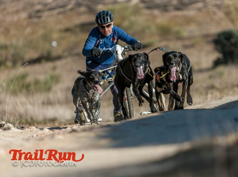 Campeonato de España de Mushing 2017