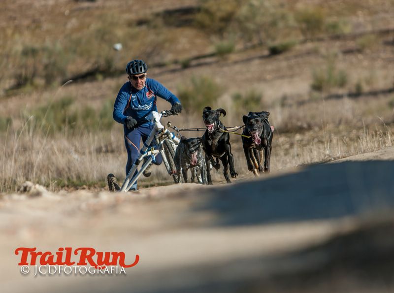 Campeonato de España de Mushing 2017