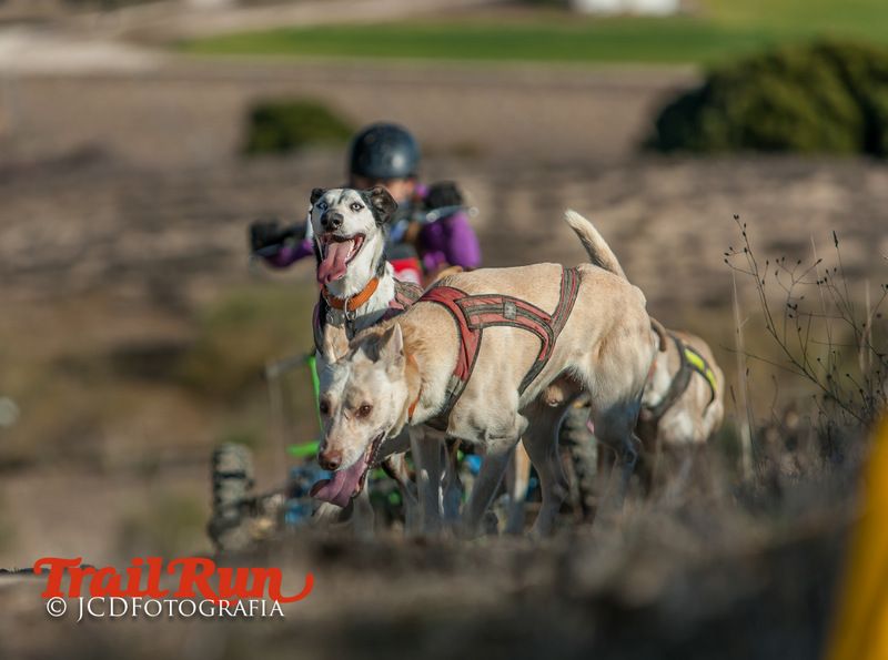 Campeonato de España de Mushing 2017