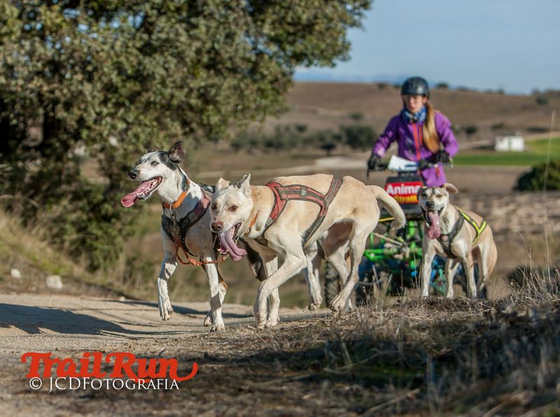 Campeonato de España de Mushing 2017