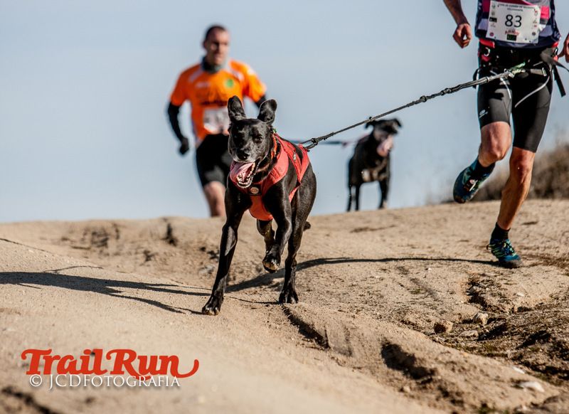 Campeonato de España de Mushing 2017