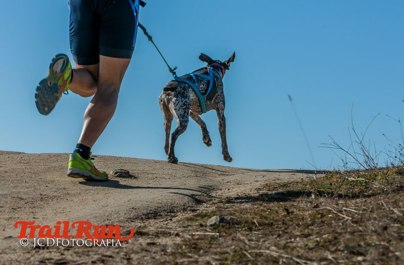 Campeonato de España de Mushing 2017