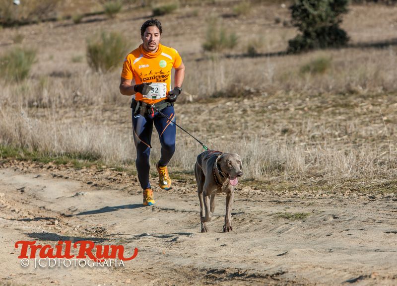 Campeonato de España de Mushing 2017