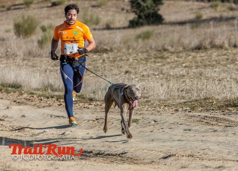 Campeonato de España de Mushing 2017