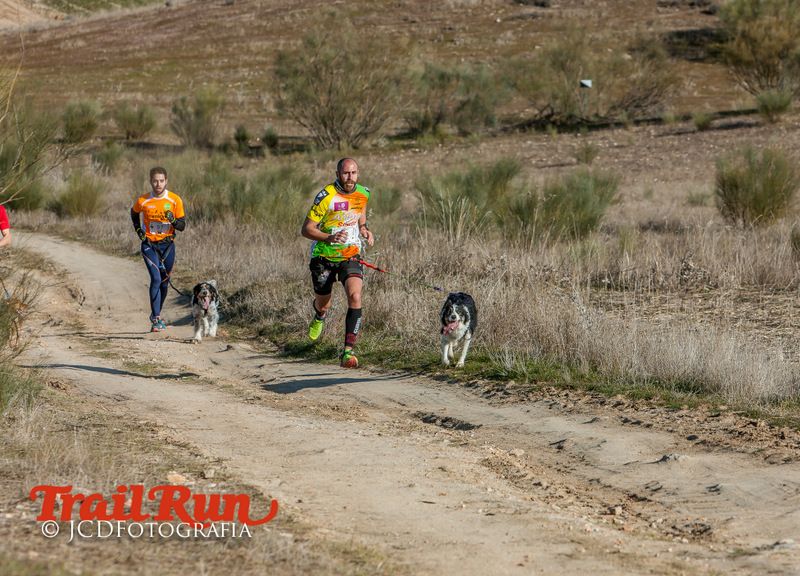 Campeonato de España de Mushing 2017