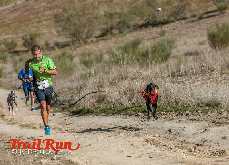 Campeonato de España de Mushing 2017