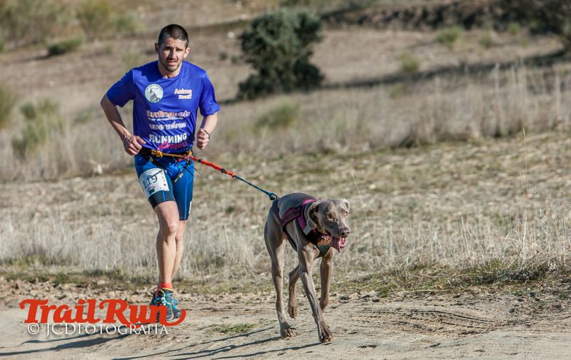 Campeonato de España de Mushing 2017
