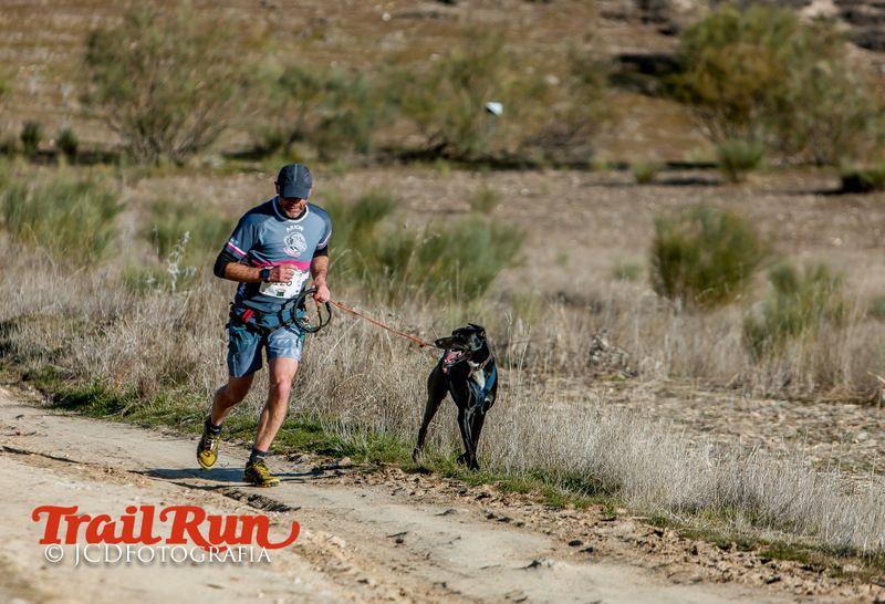 Campeonato de España de Mushing 2017