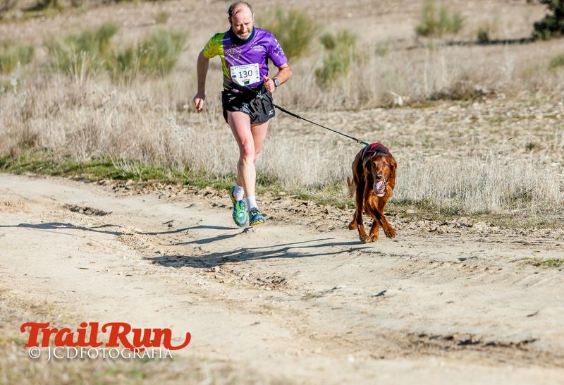 Campeonato de España de Mushing 2017