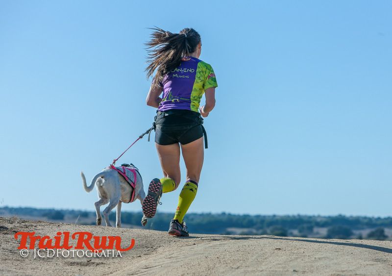Campeonato de España de Mushing 2017