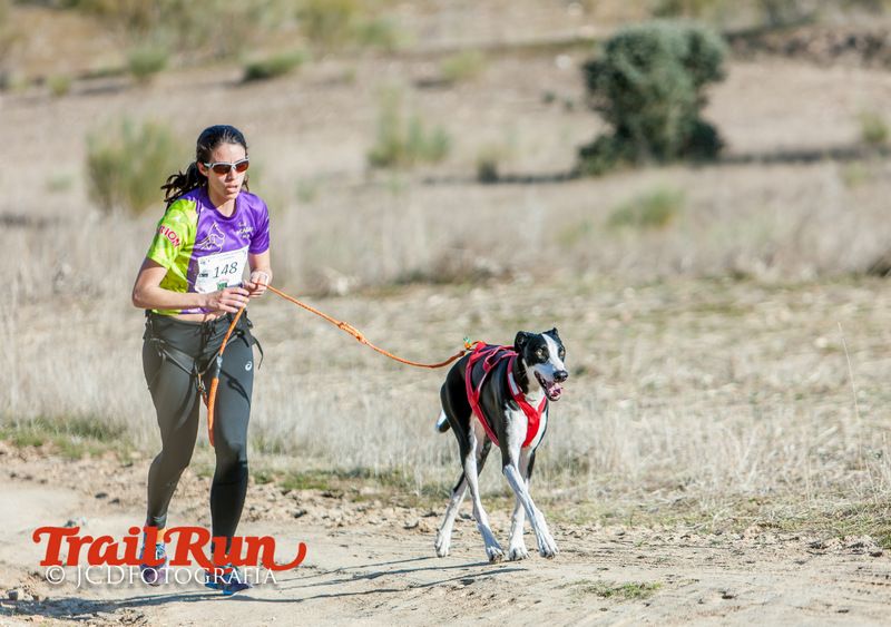 Campeonato de España de Mushing 2017