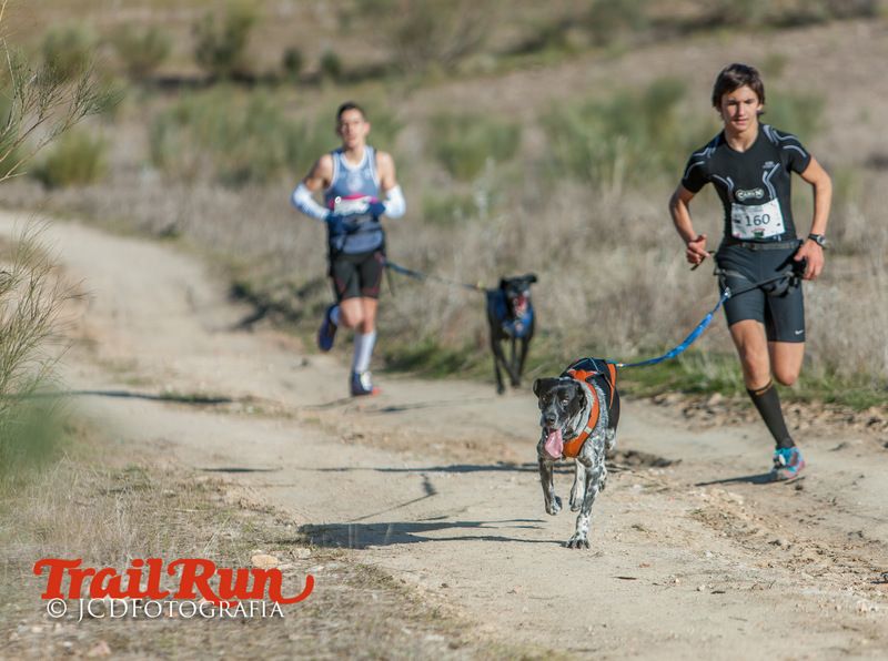 Campeonato de España de Mushing 2017