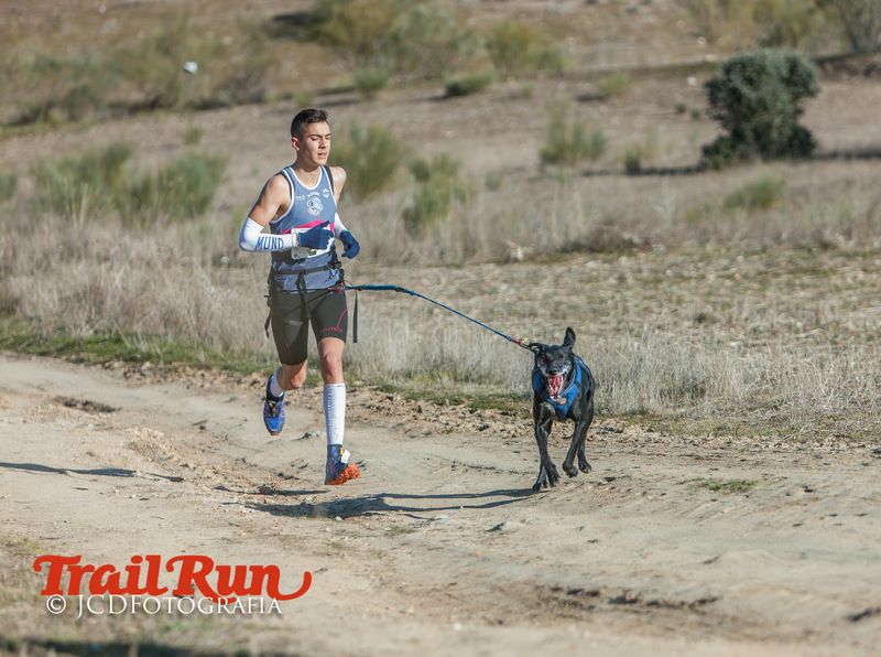 Campeonato de España de Mushing 2017