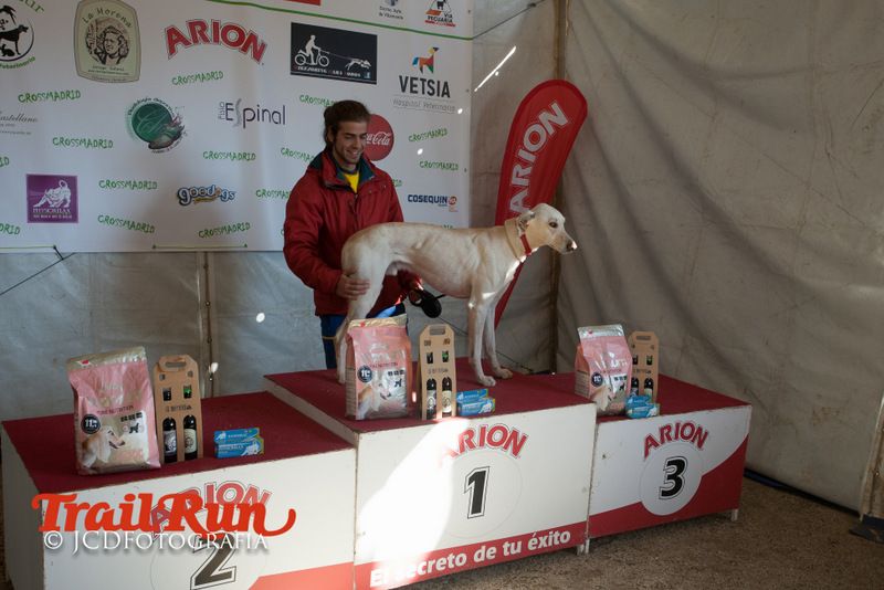 Campeonato de España de Mushing 2017