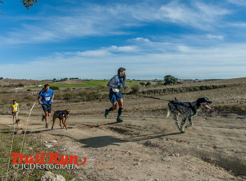 Campeonato de España de Mushing 2017