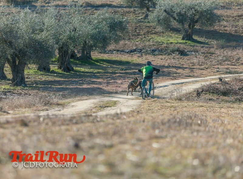 Campeonato de España de Mushing 2017