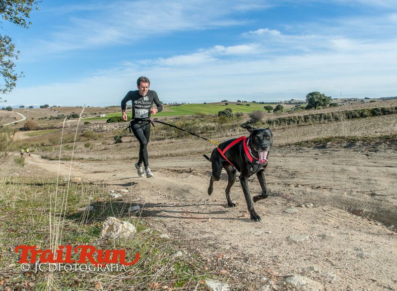 Campeonato de España de Mushing 2017