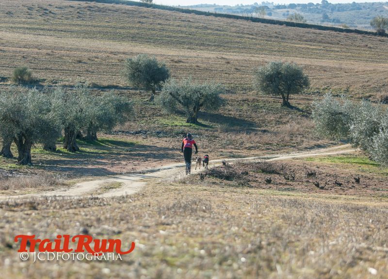 Campeonato de España de Mushing 2017