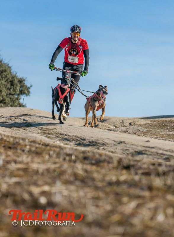 Campeonato de España de Mushing 2017