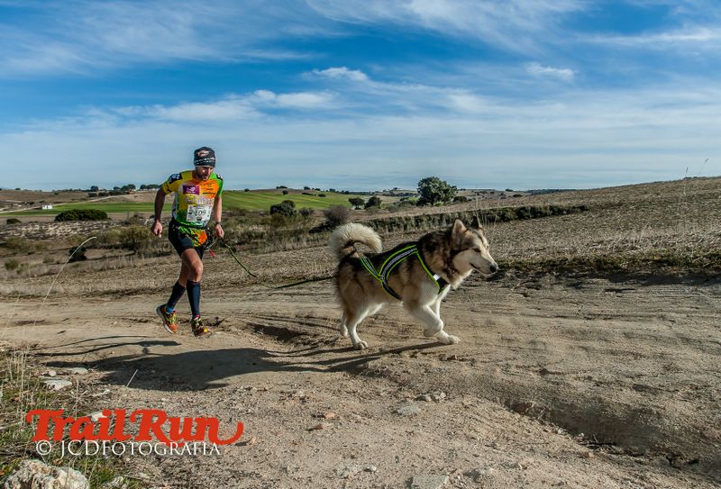 Campeonato de España de Mushing 2017