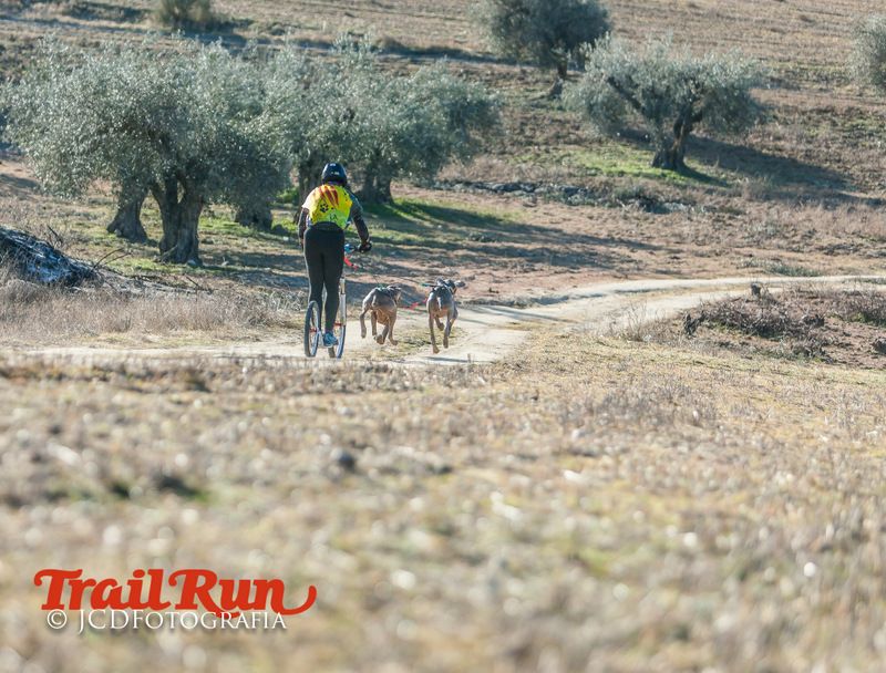 Campeonato de España de Mushing 2017