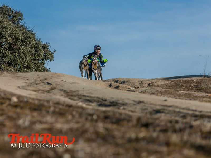Campeonato de España de Mushing 2017