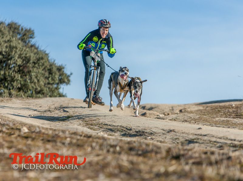Campeonato de España de Mushing 2017