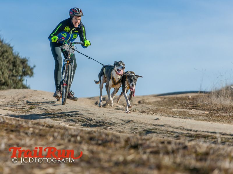 Campeonato de España de Mushing 2017