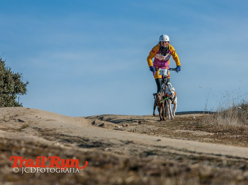 Campeonato de España de Mushing 2017