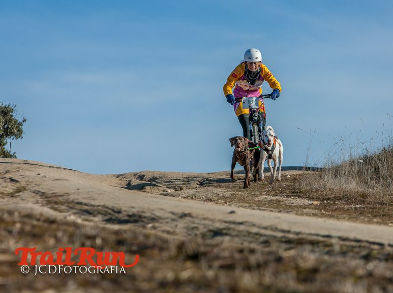 Campeonato de España de Mushing 2017
