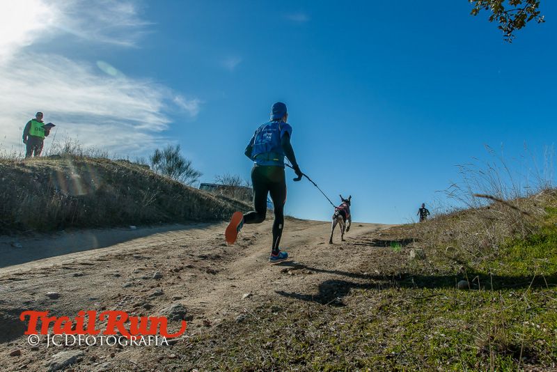 Campeonato de España de Mushing 2017