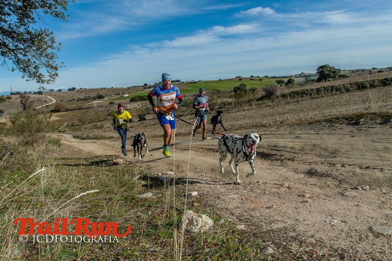 Campeonato de España de Mushing 2017