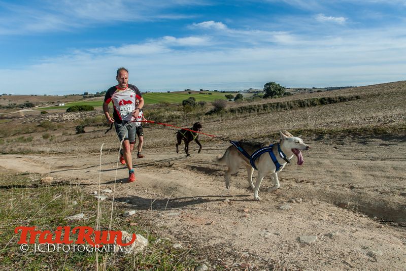 Campeonato de España de Mushing 2017