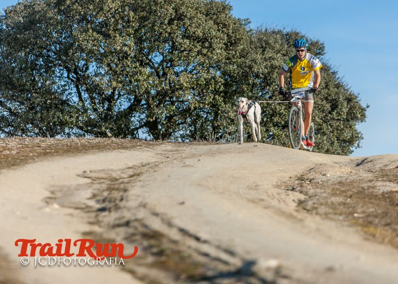 Campeonato de España de Mushing 2017