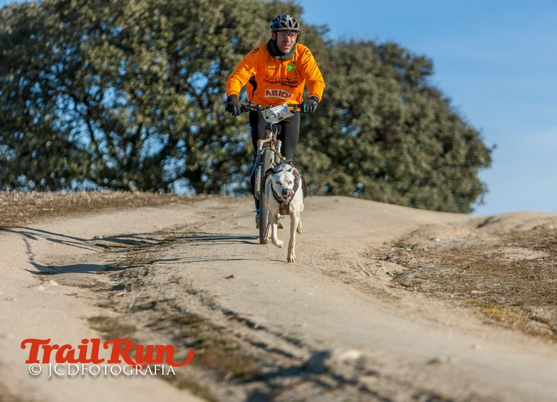 Campeonato de España de Mushing 2017