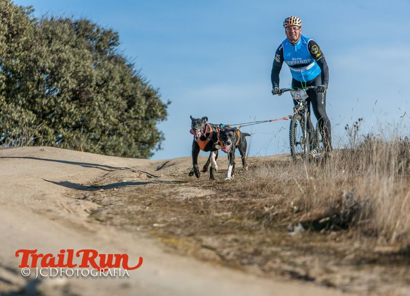 Campeonato de España de Mushing 2017
