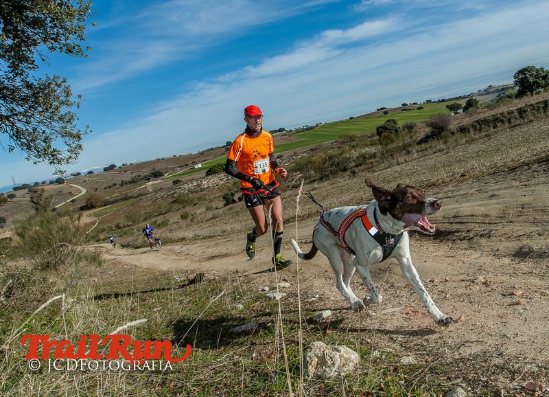 Campeonato de España de Mushing 2017