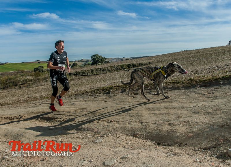 Campeonato de España de Mushing 2017