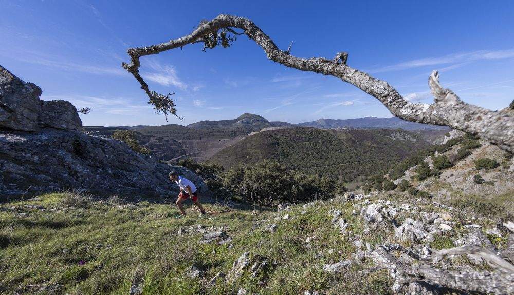 Trail Gordon 2022 204