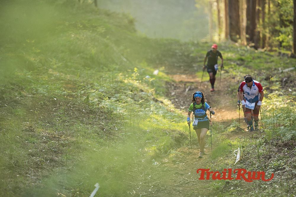 Galería de fotos - Camovi 2017