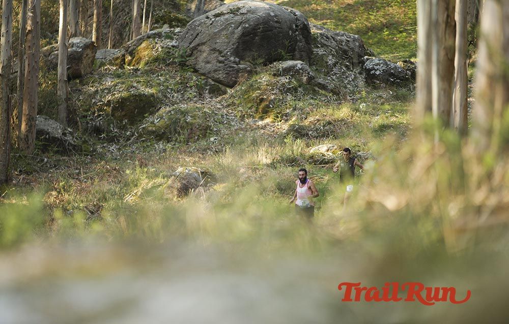 Galería de fotos - Camovi 2017