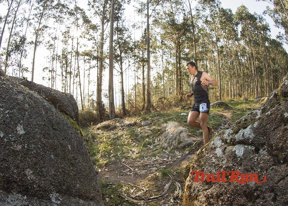 Galería de fotos - Camovi 2017