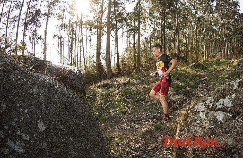 Galería de fotos - Camovi 2017
