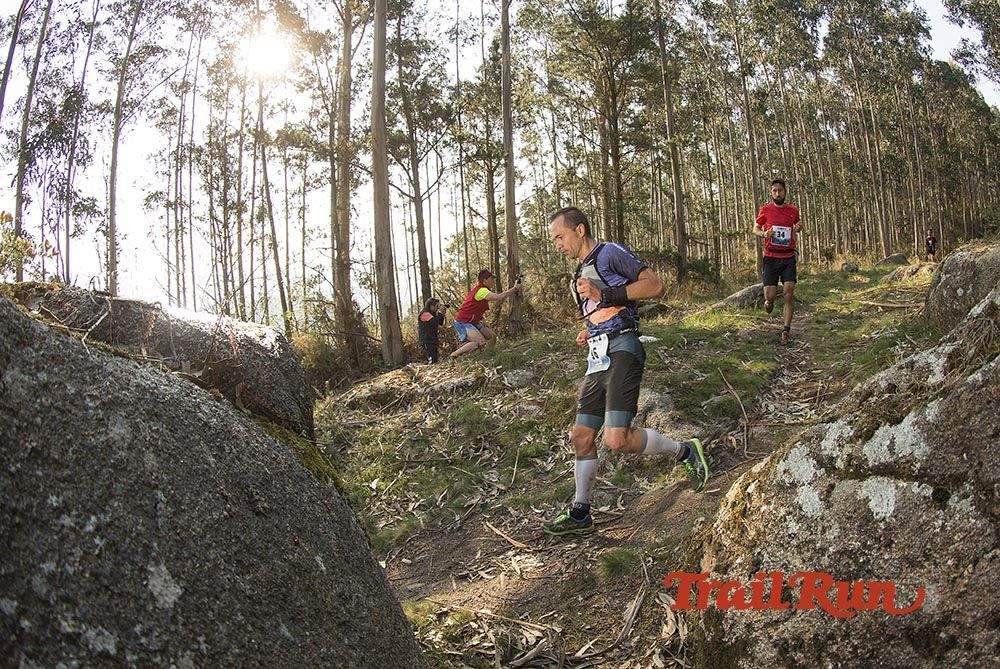 Galería de fotos - Camovi 2017
