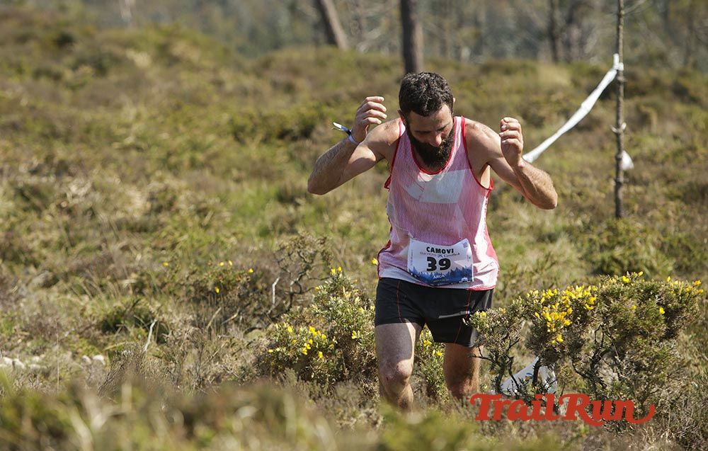 Galería de fotos - Camovi 2017