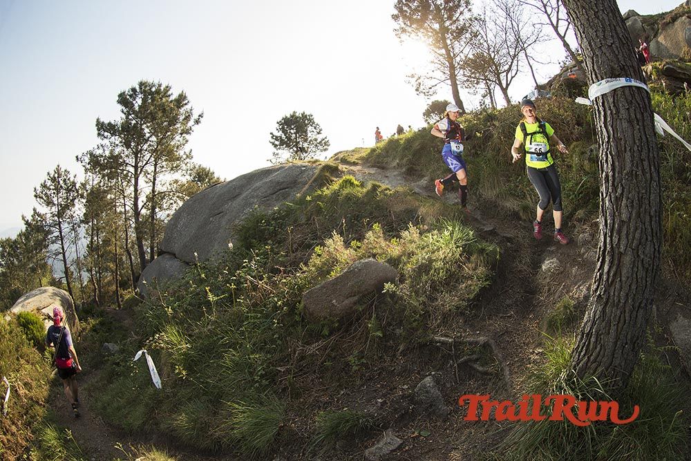 Galería de fotos - Camovi 2017