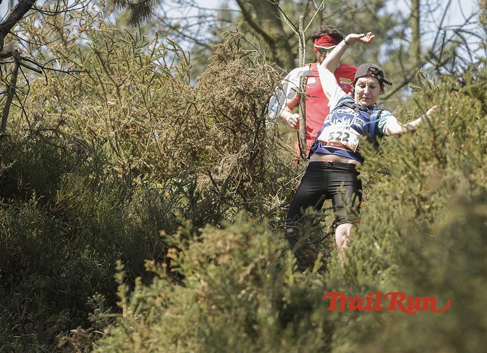 Galería de fotos - Camovi 2017