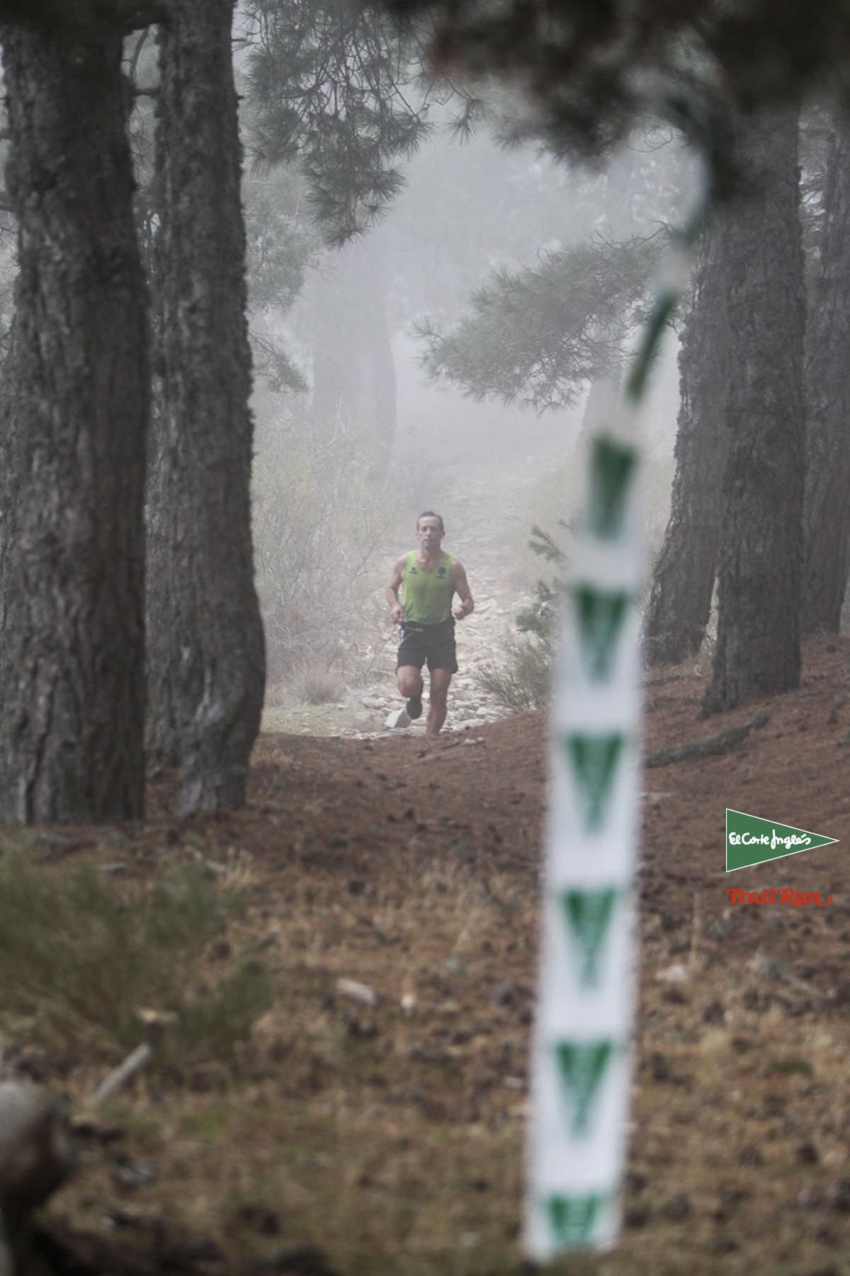Races Trail Running-1