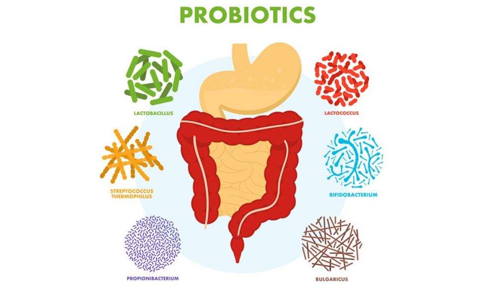 Una microbiota intestinal alterada puede afectar al rendimiento deportivo